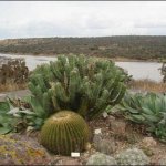 2 botanical garden san miguel deallende